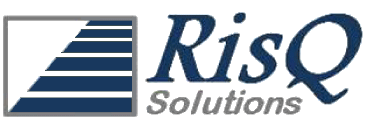 RisQ Solutions, Inc. logo